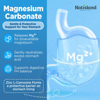 NATISLAND Magnesium Carbonate 500mg Gummies - 60 Count - image 3