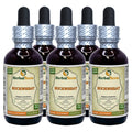 Herbal Terra LLC Buckwheat (Fagopyrum Esculentum) Tincture
