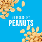 KIND Gluten Free Protein Bar Peanut Butter Dark Chocolate - 1 Bar - image 3