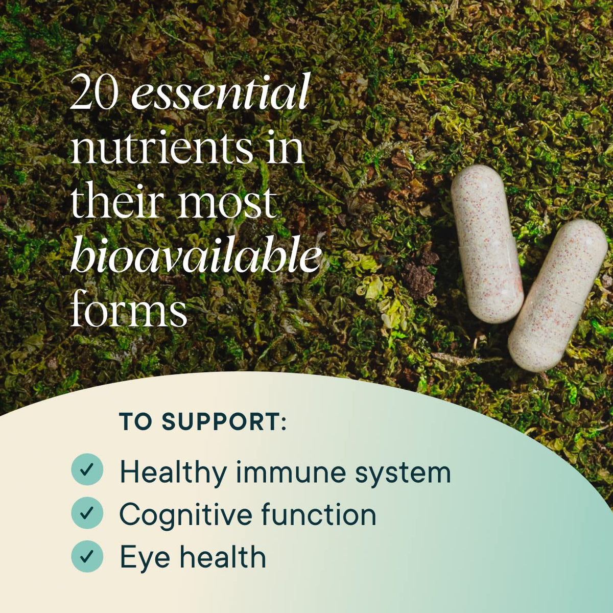 Ora Organic Plant Based Multivitamin for Women and Men - 60 Capsules - image 7