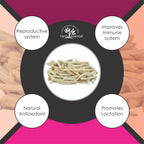 Herb Essential Herbal Supplements for Daily Use