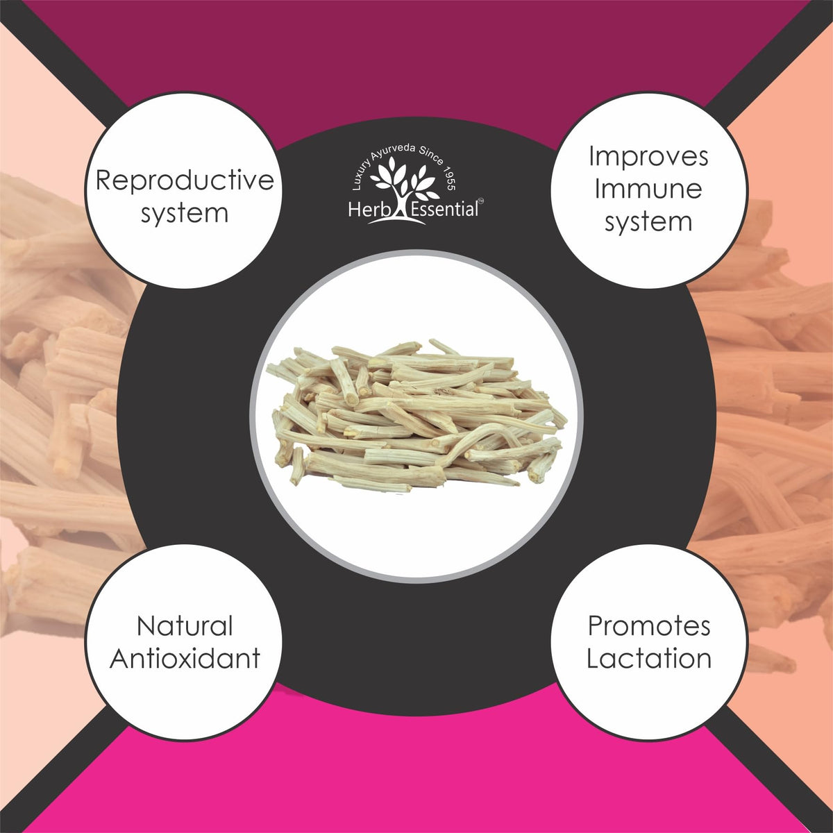 Herb Essential Herbal Supplements for Daily Use