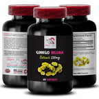 Swan Life Essentials Ginkgo Biloba Extract Capsules - 120 Capsules - image 2