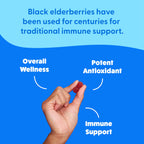 The Feel Great Vitamin Company Sambucus Elderberry Gummies with Zinc & Vitamin C - image 3