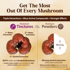 Dragon Herbs Duanwood Reishi Drops Mushroom Supplement - 2 fl oz - image 7