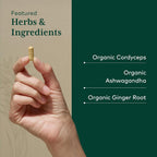 Gaia Herbs PRO Adaptogen Performance Energy Support - 120 Capsules - image 4