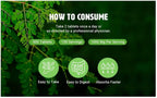 WAY 4 ORGANIC W4O Moringa Tablets with Turmeric and Black Pepper