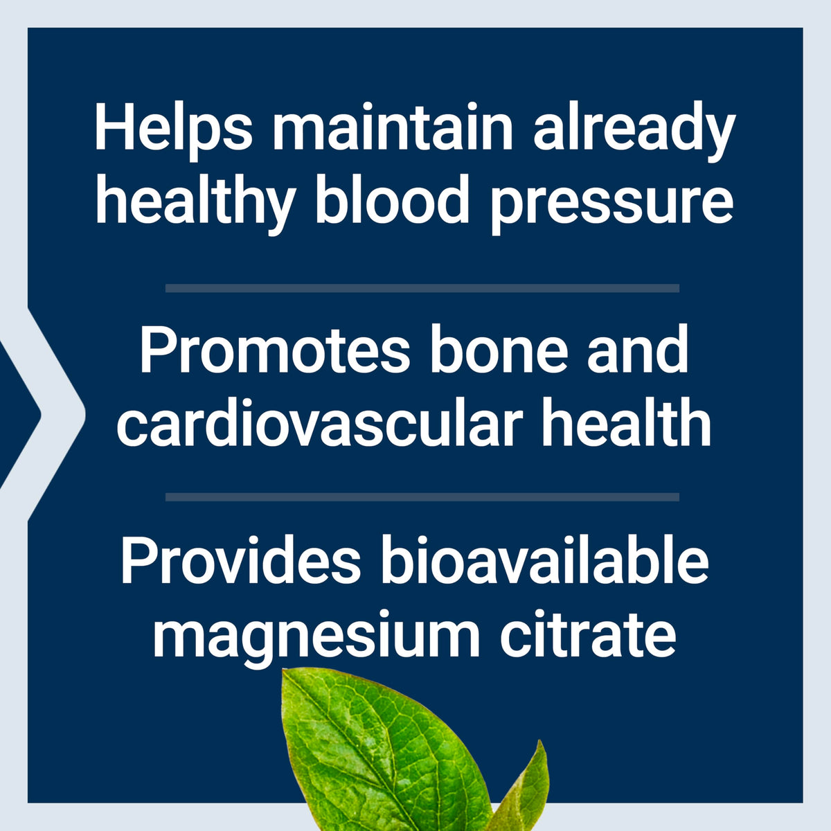 Life Extension Magnesium Citrate 100 mg Vegetarian Capsules - 100 Count - image 4