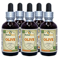 Herbal Terra LLC Olive (Olea Europaea) Tincture