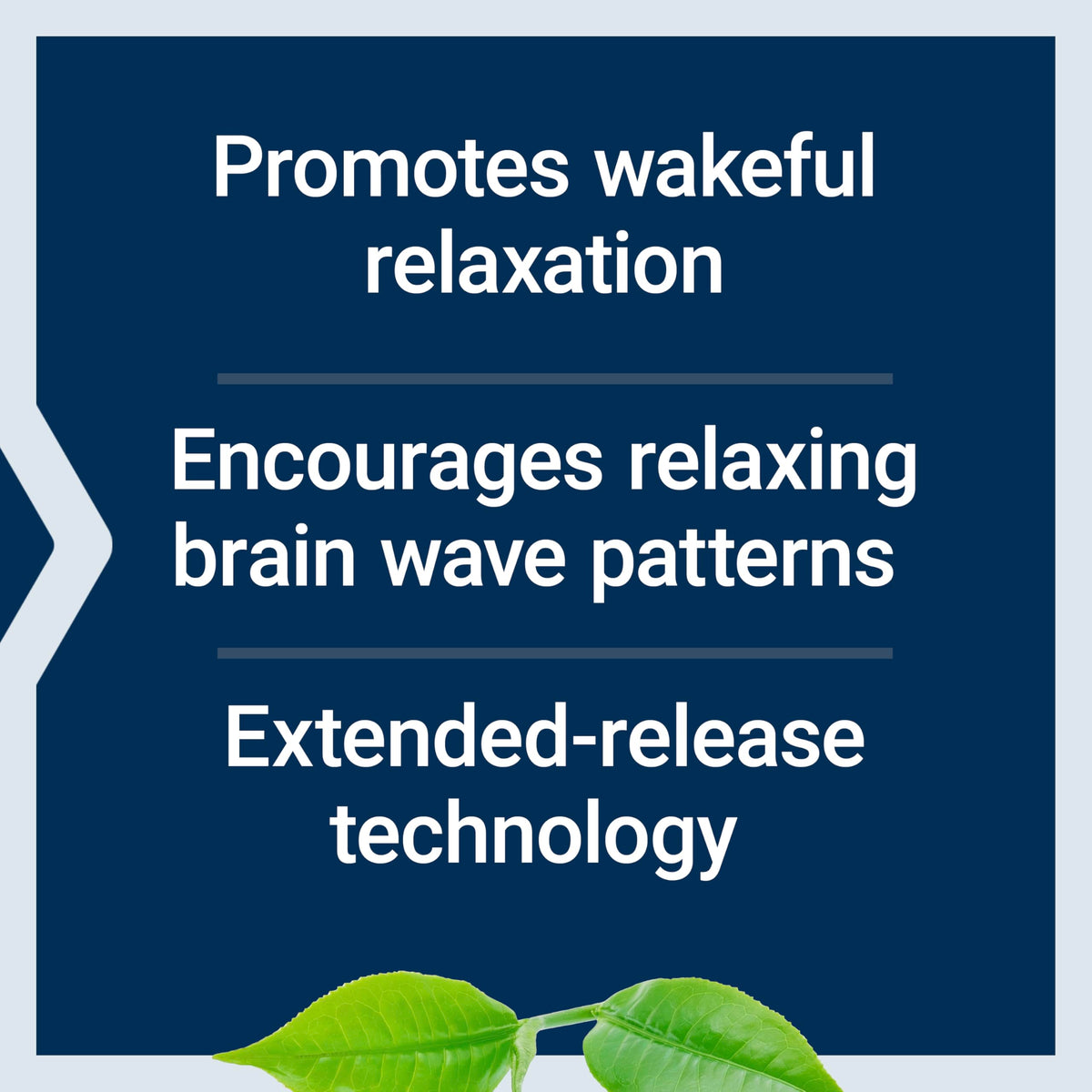 Life Extension Theanine XR Stress Relief L-Theanine - 30 Tablets - image 4
