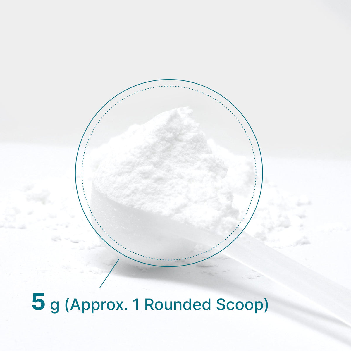 Deal Supplement BA DS Creatine Parent