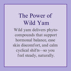 At Last Naturals Wild Yam Cream Hormone Balance for Women - 2 oz - image 8