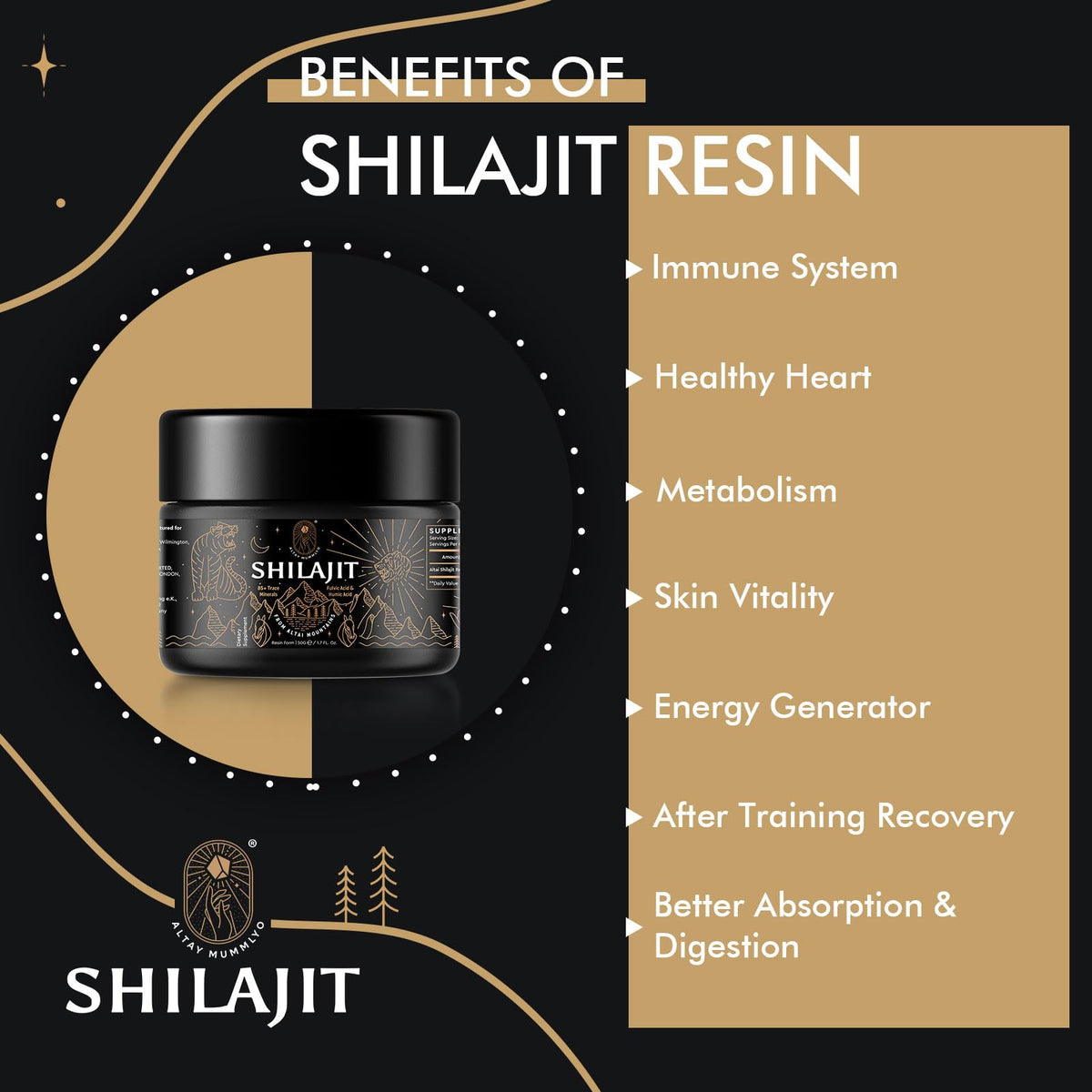 ALTAY MUMMIYO Shilajit Resin with Fulvic Acid & Trace Minerals