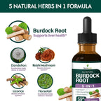 Selvaherb Burdock Root Organic Tincture for Liver Support - 2 Fl Oz - image 4