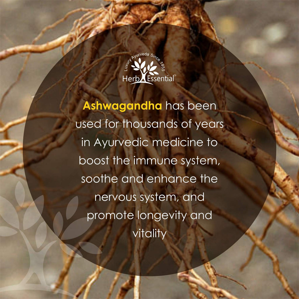 Herb Essential Herbal Supplements for Daily Use