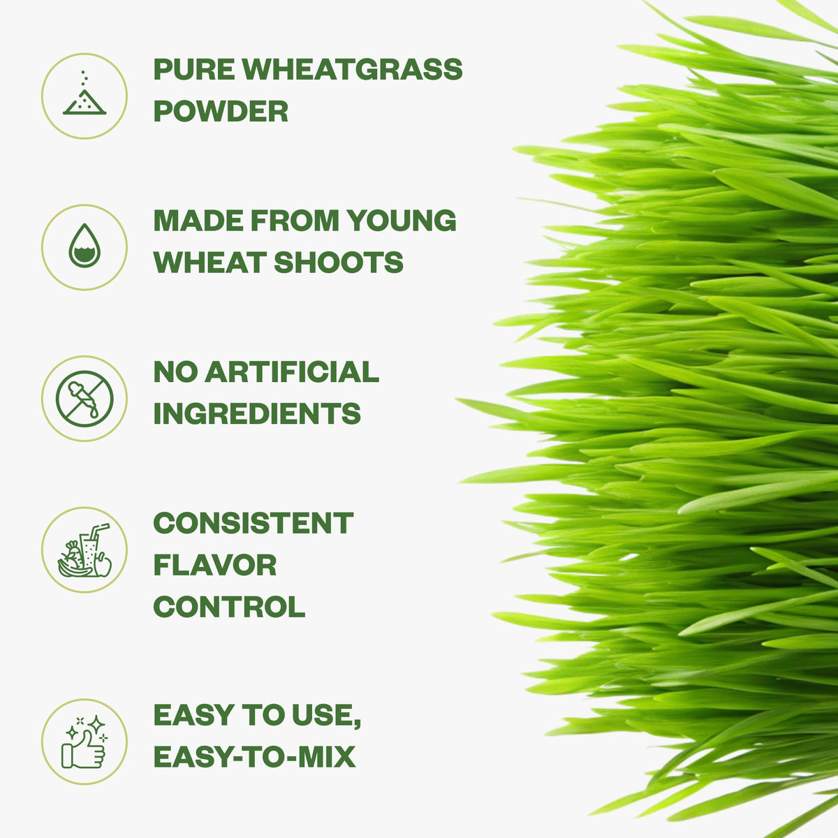 Purisure Wheatgrass Powder for Immunity Support - 150g - image 3