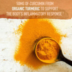 Garden of Life Organics Turmeric Boost Inflammatory Response Powder - 4.76 oz - image 2