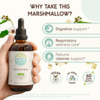 HerbEra Marshmallow Alcohol-Free Herbal Extract Tincture
