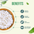 Healthy Way SAM-e 500mg Supplement Brain & Mood Support - 90 Capsules - image 4