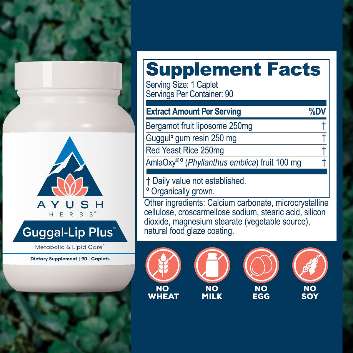 Ayush Herbs Guggal-Lip Plus Metabolic Support - 90 Tablets - image 3