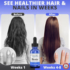 HoneyCombs Biotin B7 Liquid Drops Hair, Skin & Nails Support - 1 oz - image 6