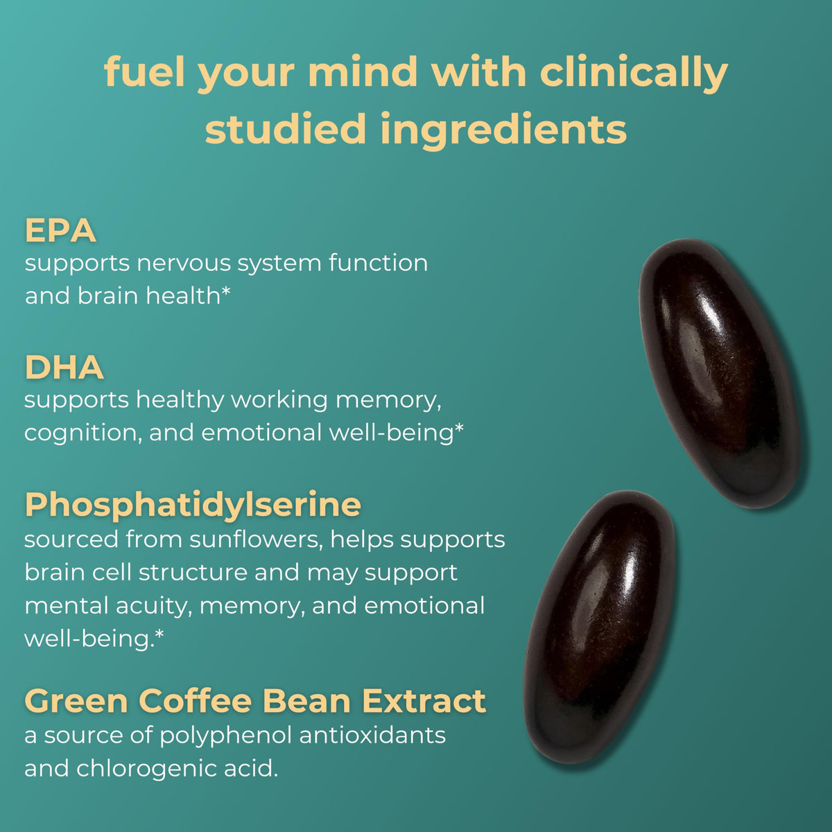 Iwi Life Brain - 60 Softgels I Nootropic Brain Supplements for Memory
