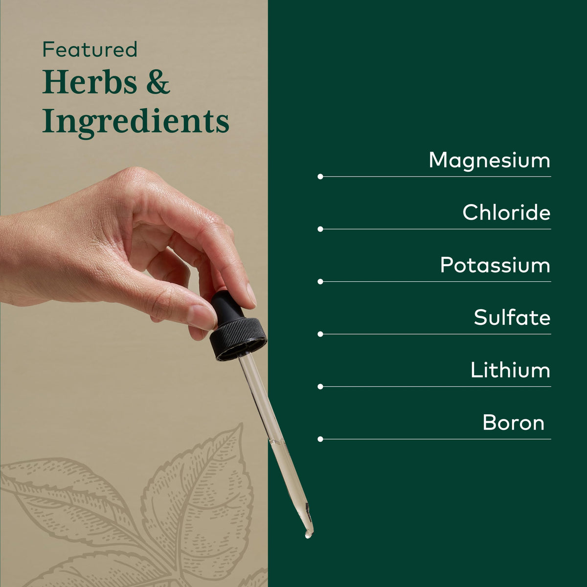 Gaia Herbs PRO Liquid Magnesium with Trace Minerals - 4 fl oz - image 4