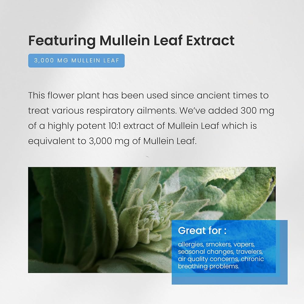 NutraChamps Mullein Leaf Extract Lung Support - 60 Capsules - image 5