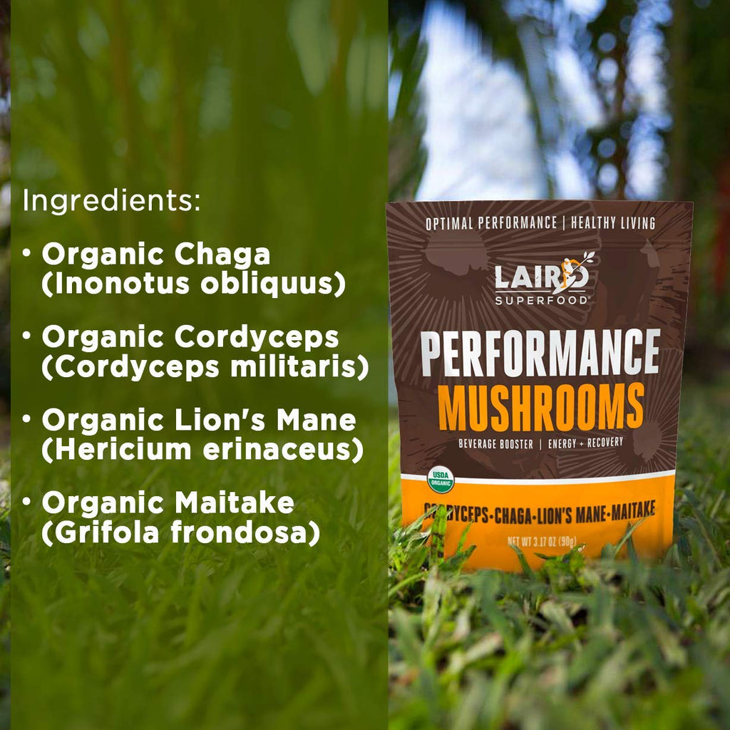 Laird Superfood Organic Performance Mushroom Blend Powder - 6.34 oz - image 4