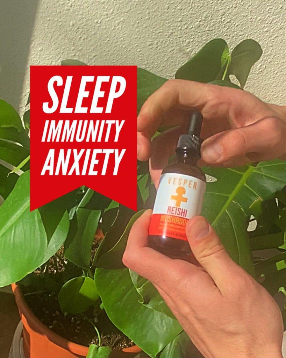 Vesper Mushrooms Liquid Extract - Double Extraction with Wild