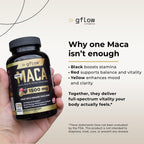 gflow vitamins Organic Maca Root Capsules for Energy & Performance - image 3