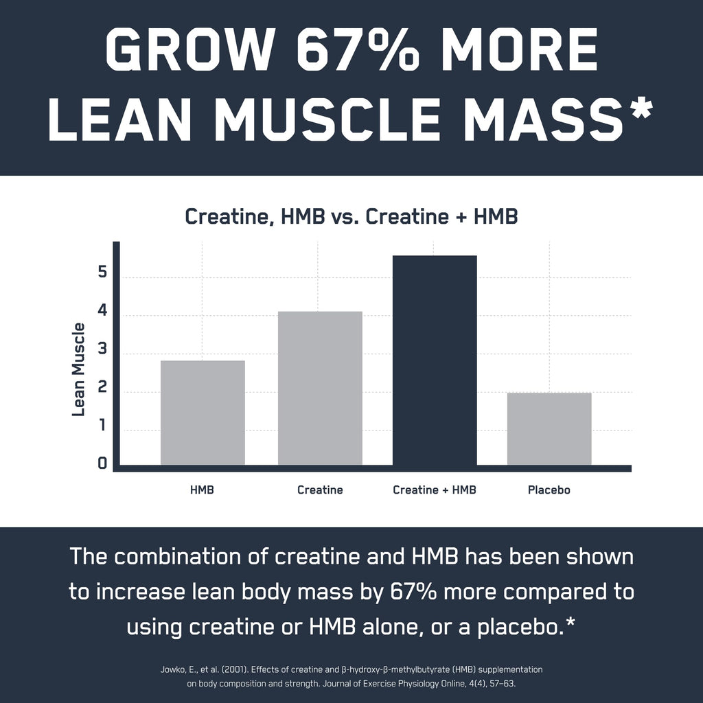 SteelFit Creatine HMB Powder with Creapure - 30 Servings - image 8
