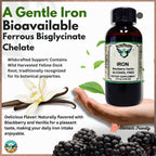 AlchePharma Iron Liquid Ferrous Bisglycinate Chelate - 4 fl oz - image 8