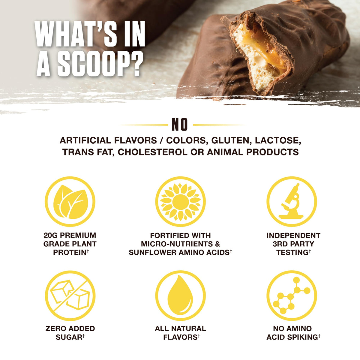 Ambrosia Planta - Premium Plant-Based Protein