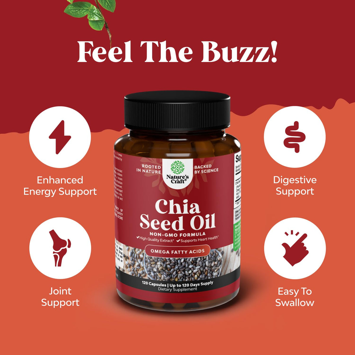 Natures Craft Chia Seed Oil Extract Omega-3 Capsules - 120 Count - image 2