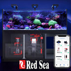 Red Sea Reef Foundation A Calcium & Strontium Supplement - 1000ml - image 7