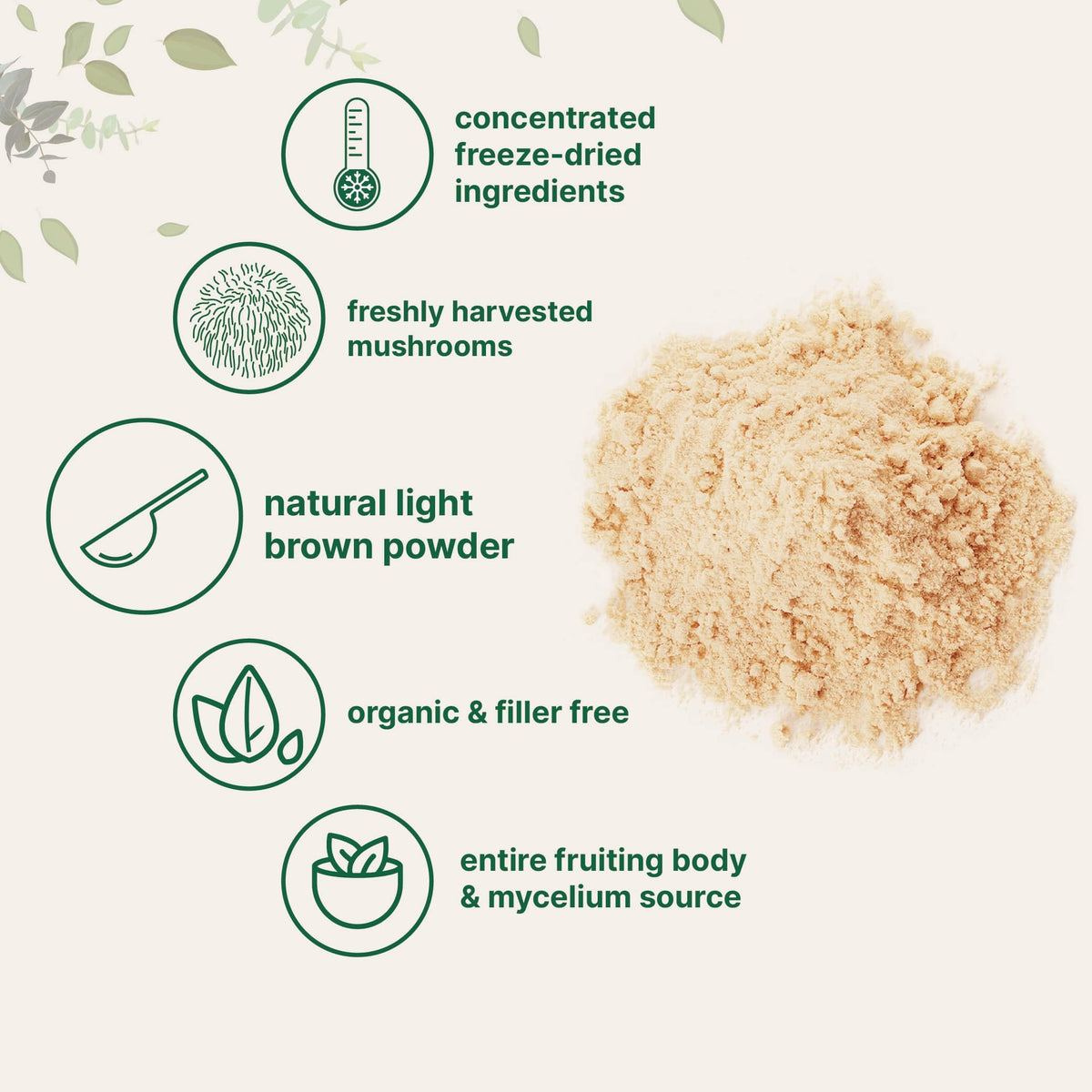 Micro Ingredients Organic Lion's Mane Mushroom Powder - 16oz - image 3
