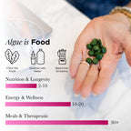 ENERGYBITS VITALITYbits Organic Blended Spirulina & Chlorella Algae