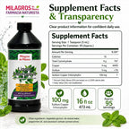 Milagros de Mexico Liquid Chlorophyll with Mint - 16 fl oz - image 6