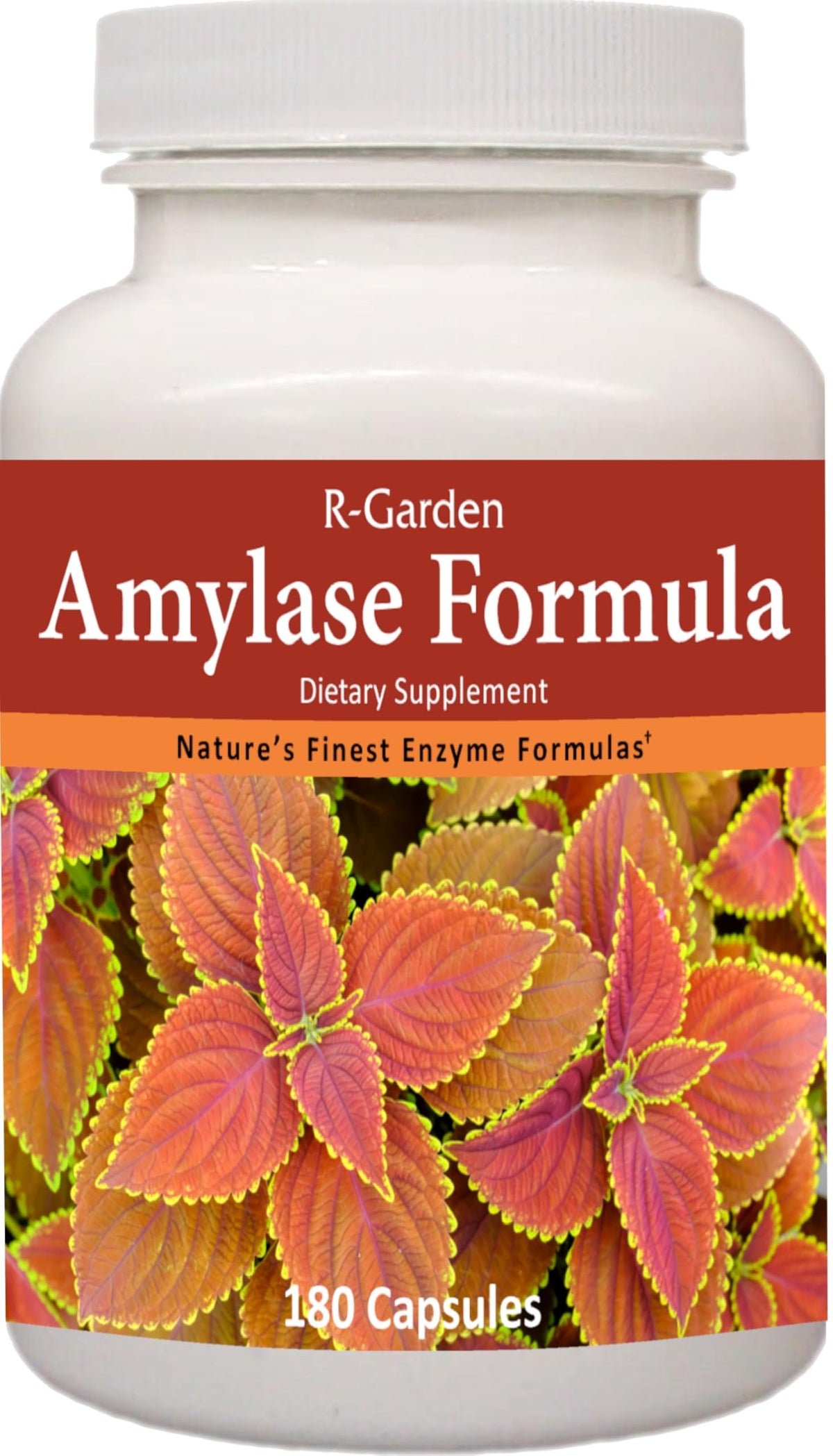 R-Garden Amylase Formula Digestive Enzyme - 180 Capsules