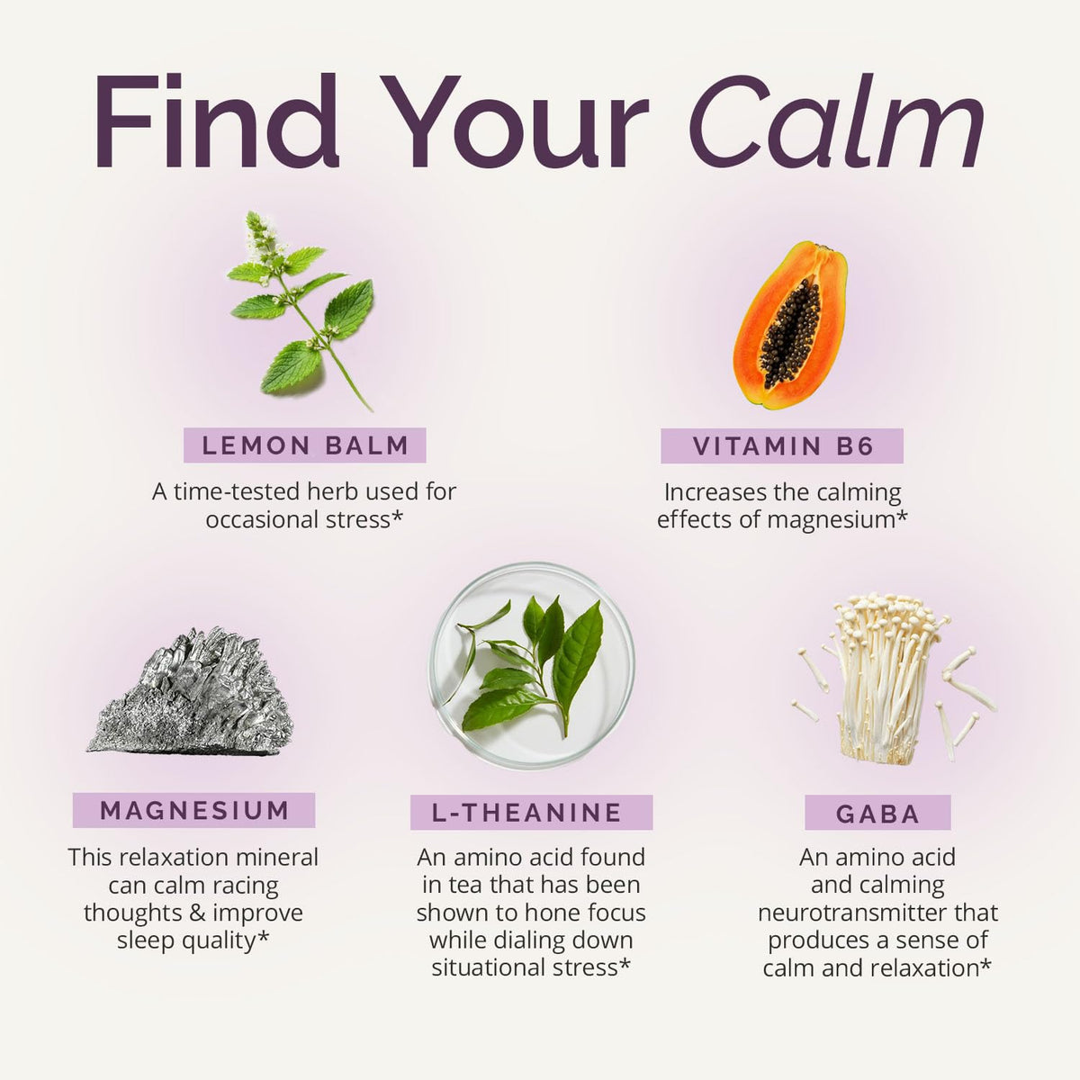 BrainMD Dr Amen GABA Calming Support - 90 Capsules - image 3