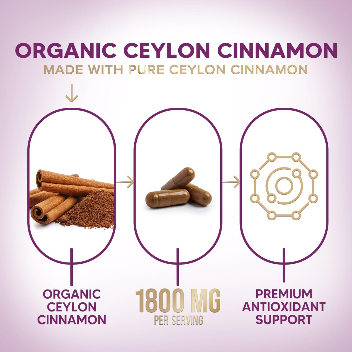 Nature's Choice Ceylon Cinnamon Capsules - Certified Organic Ceylon