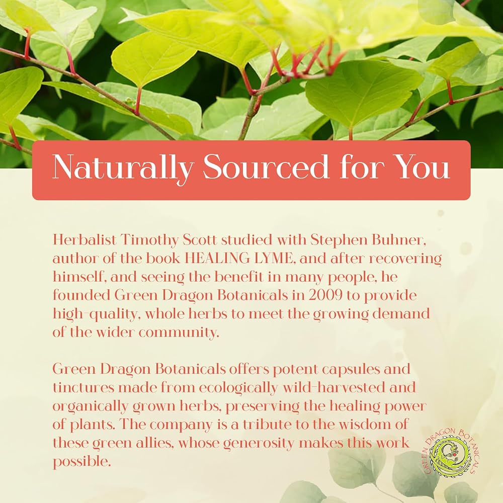 Green Dragon Botanicals LB CORE Protocol Tincture - Japanese Knotweed