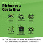Mondaisa Green Tea Antioxidant-Rich Traditional Infusion - 80 Tea Bags - image 5