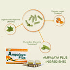 Generic Ampalaya Plus 550mg Herbal Supplement - 90 Capsules - image 5