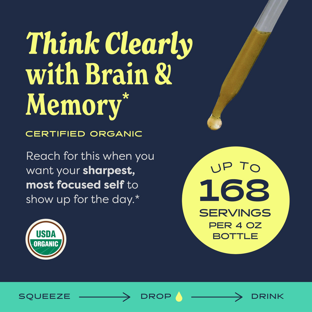 Herb Pharm Brain & Memory Ginkgo Biloba Liquid Extract - 4 oz - image 2