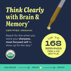 Herb Pharm Brain & Memory Ginkgo Biloba Liquid Extract - 4 oz - image 2