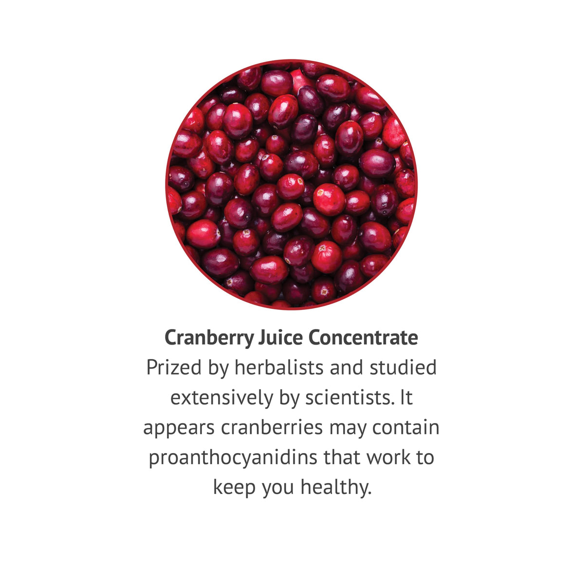 Botanic Choice Cranberry Liquid Extract - 1 Fl Oz - image 5