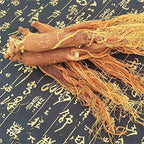 Generic Red Ginseng Roots Whole Root- Red Panax Ginseng Roots Ginseng