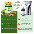 BASIC AYURVEDA Giloy Powder for Immunity & Energy - 200g - image 6